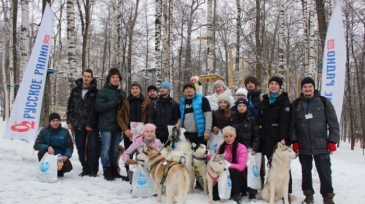 Жители Зеленодольска приняли участие в гонках на собачьих упряжках в Чебоксарах