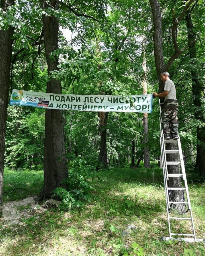В Зеленодольском районе поддержали активистов экологического проекта "Санитары леса"