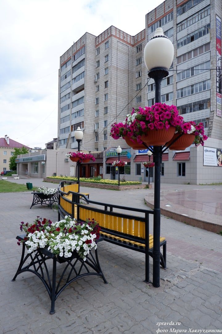 «Цветоворы» в Зеленодольске: Кому приглянулись уличные кашпо с петуниями