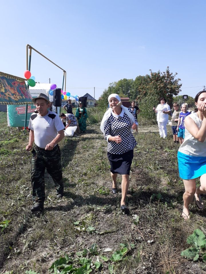 День села отметили в Татарские Наратлы