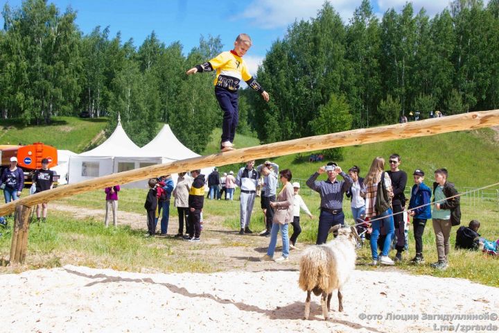 Сабантуй-2022. Фоторепортаж Люции Загидуллиной