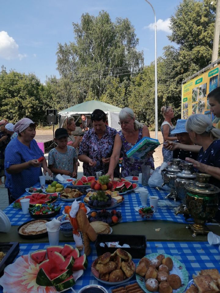 В Зеленодольске на ул.Загородная местные жители отметили праздник двора