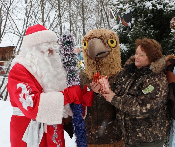 В поселке Садовый Раифского сельского поселения каждый год радует жителей и удивляет гостей необычная елка