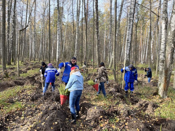 Работники АО «Транснефть — Прикамье» приняли участие во Всероссийской экологической акции