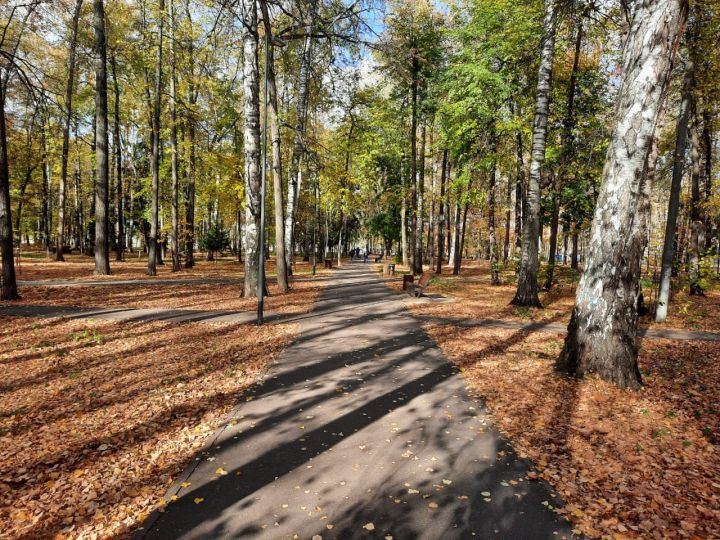 Золотая осень в городском парке Зеленодольска