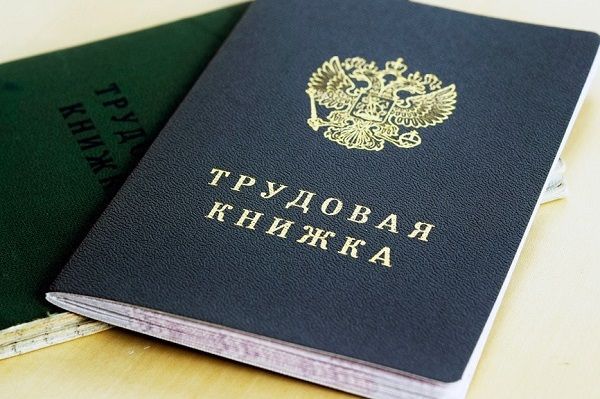 В Госдуме предложили засчитывать в трудовой стаж родителя три года декрета