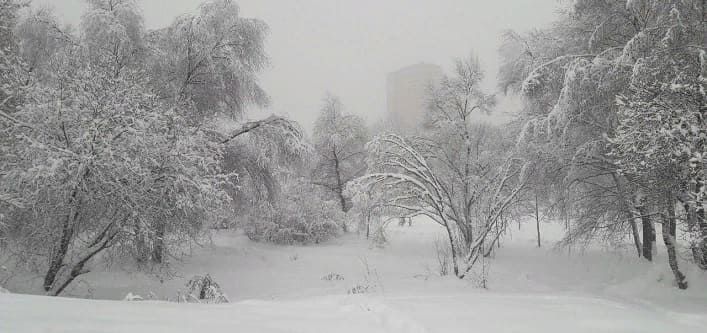 «Начнется 14 февраля и будет 144 часа подряд». Синоптики сказали, что это будет