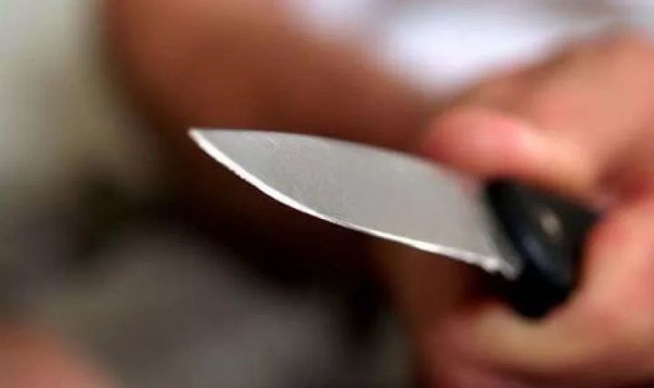 35-летней жительница Зеленодольска предстанет перед судом за нанесение ножевого ранения сожителю