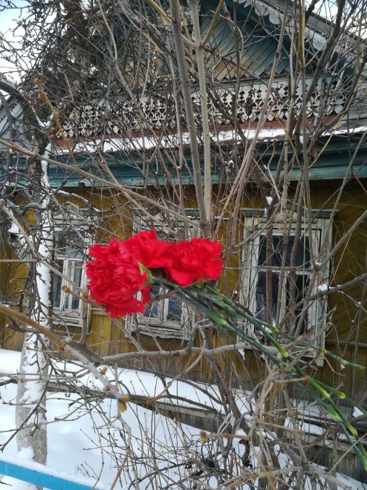 В канун Дня защитника Отечества школа №17 провела митинг, посвященный Герою Советского Союза Николаю Андреевичу Катину