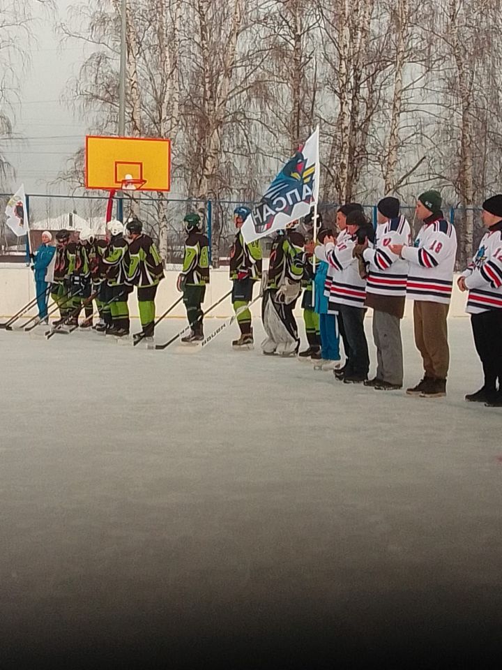 Хоккей на Кубок Главы среди мужских команд стартовал в Зеленодольске