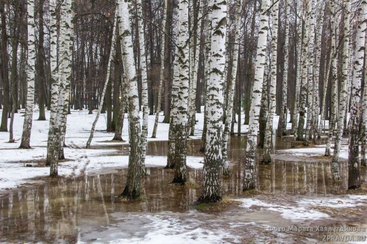 «Поступили новые данные». Синоптики изменили прогноз на апрель