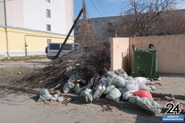 «Веткам в контейнерах не место»: К кому обращаться для утилизации растительных отходов