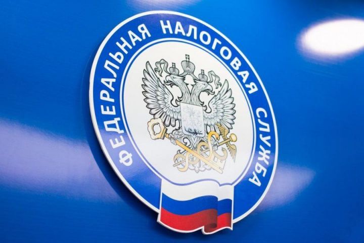 1059 должников по налоговым платежам могут лишиться имущества