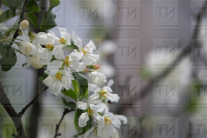 «Майские праздники подложат нам свинью». Синоптики дали новый прогноз на начало мая