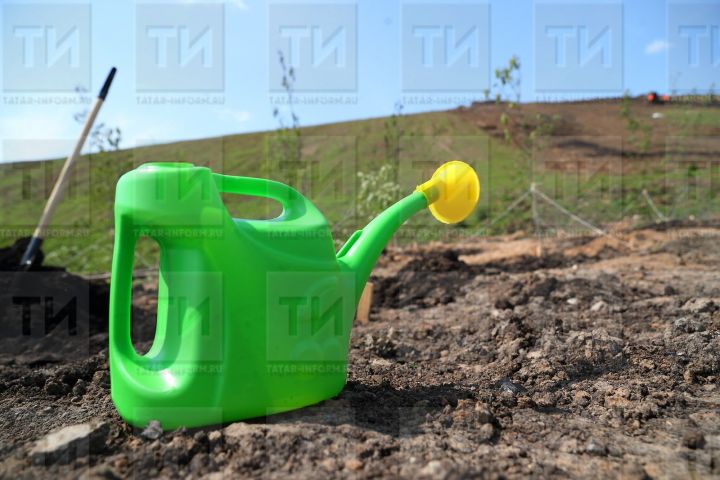 Эти опасности поджидают всех дачников в России