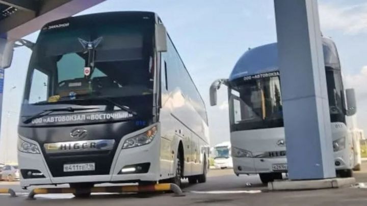 Между Казанью и Йошкар-Олой запущен новый автобусный рейс