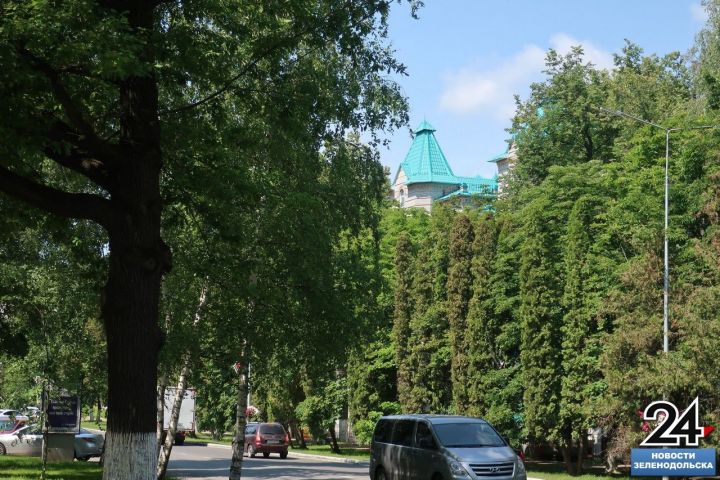 Главный агроном ЗМР Наталья Ячанова рассказала о примерах удачного озеленения территорий городских организаций и учреждений