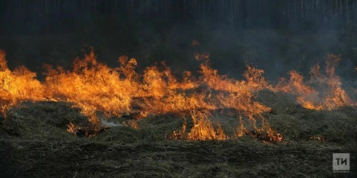 В Татарстане объявили штормовое предупреждение из-за высокой пожароопасности лесов