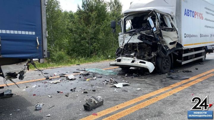 В числе худших. На дорогах Зеленодольского района в этом году погибли 9 человек