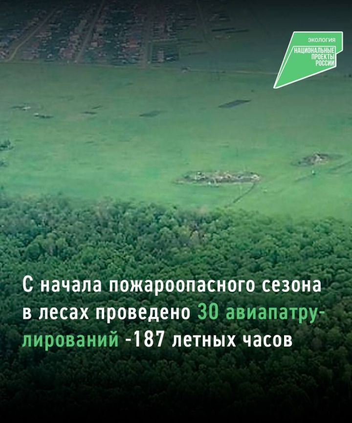 В Татарстане авиапатрулированием охвачены 1,2 млн гектаров леса