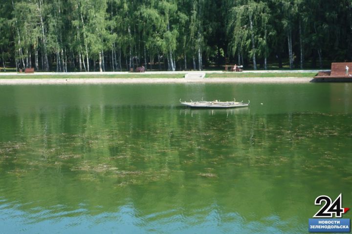 Гидробиолог КФУ выяснила причины зарастания городского озера в Зеленодольске