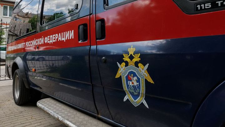 Внук с подругой убили мотыгой не пускавшую гулять бабушку