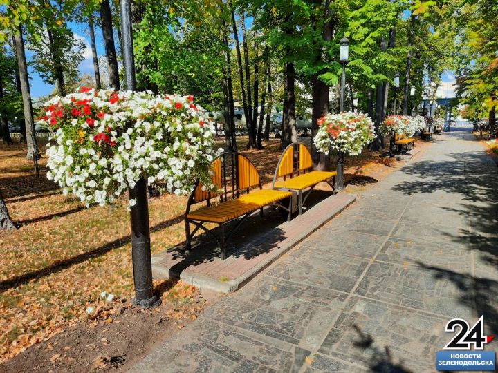 Вертикальное озеленение: что это и как оно зарекомендовало себя на улицах Зеленодольска