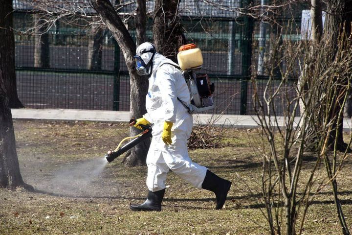 Осторожно: наблюдается повышение активности клещей!  - предупреждают сотрудники Зеленодольского территориального отдела Роспотребнадзора.