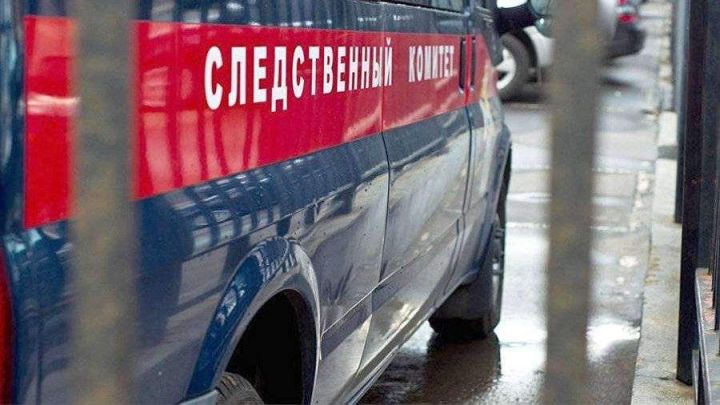 Пьяный житель Зеленодольска насмерть забил свою 70-летнюю мать