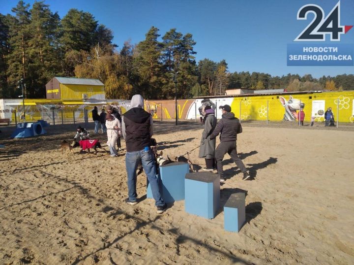 В Зеленодольске открылся «Хвостопарк»