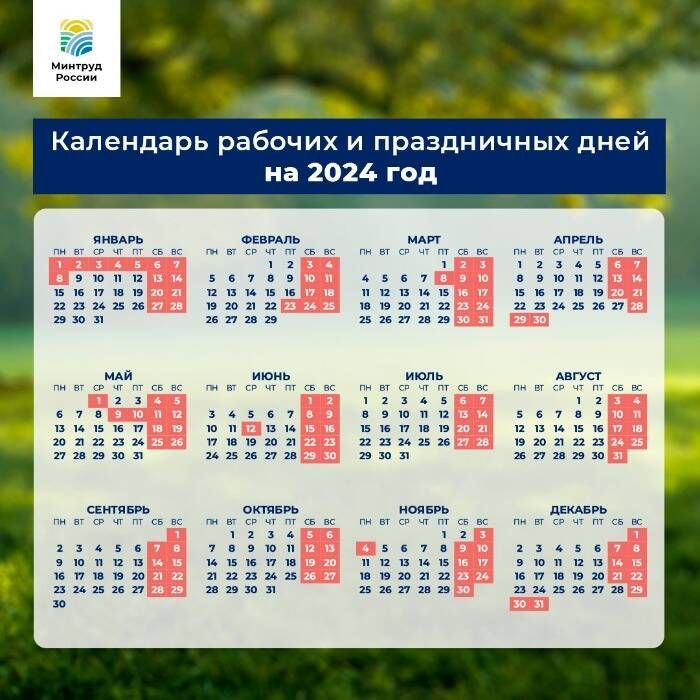 В России объявили дополнительный выходной день 4 ноября