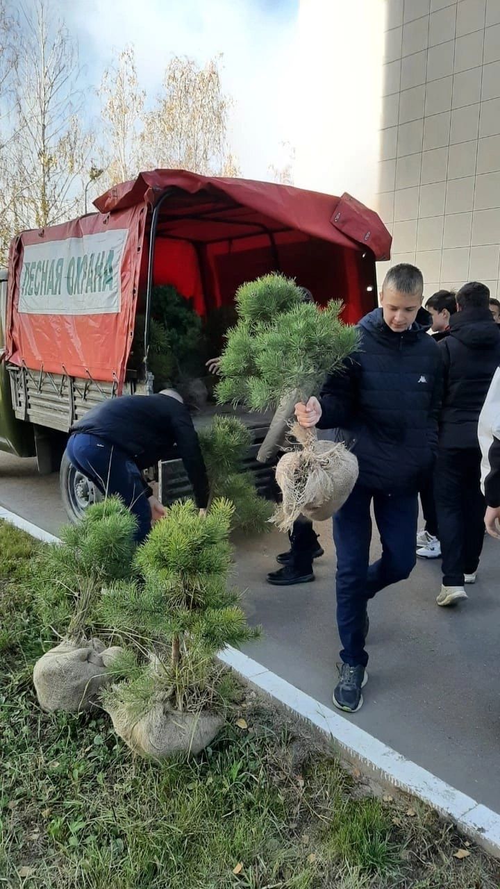 Воспитанники Зеленодольского школьного лесничества и сотрудники «Зеленодольского опытного лесхоза» облагородили соснами территорию лицея им. В.В. Карпова