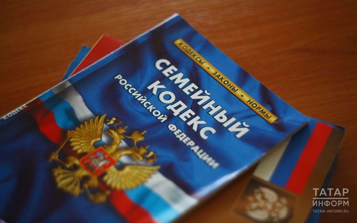 Зеленодолец задолжал дочери алиментов на более 200 тыс. рублей