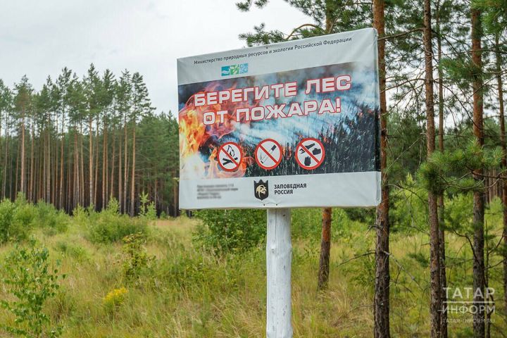 Минлесхоз РТ дал ответ, снимут ли ограничения на посещение лесов Татарстана раньше объявленных сроков