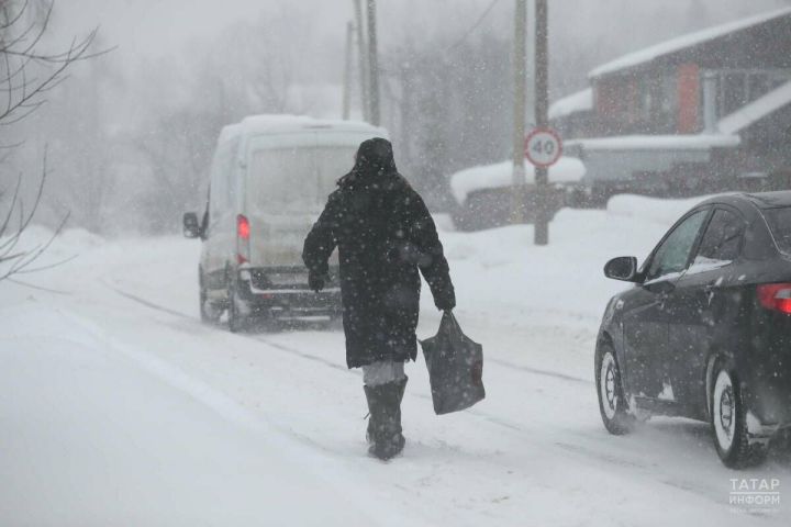 Метеорологи ответили, встретят ли жители Татарстана московские снегопады