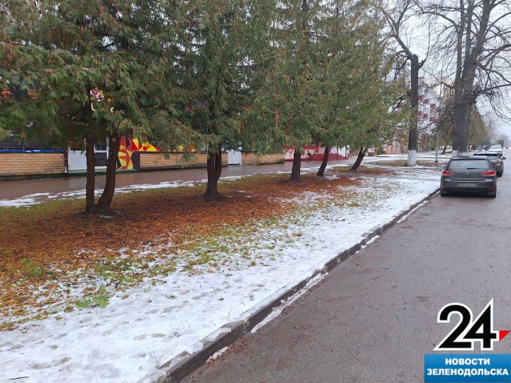 Как в Зеленодольске прошли подготовительные работы агрономов к зиме