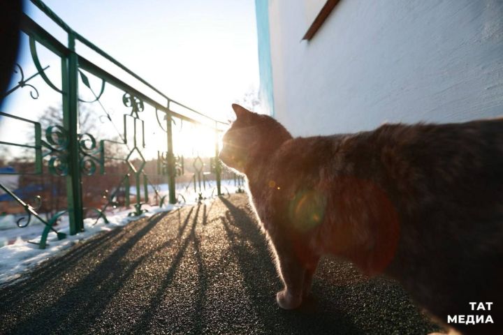 Метеоролог КФУ рассказал, когда в Татарстане растает снег