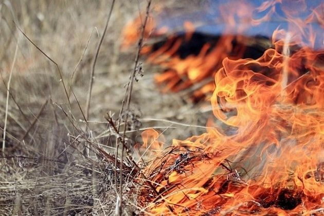 Особый противопожарный режим в Татарстане планируют ввести с 22 апреля