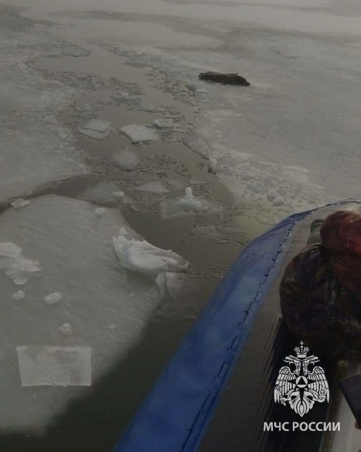 Пожилой рыбак провалился под лёд