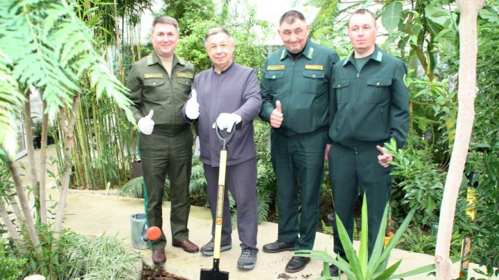 Посаженная в Татарстане сосна стала «Символом несокрушимой дружбы»