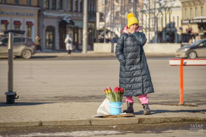 Метеорологи объяснили причины аномально быстрого таяния снега