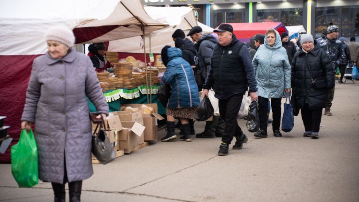 Свыше 400 тонн овощей продано на сельхозярмарках в Татарстане