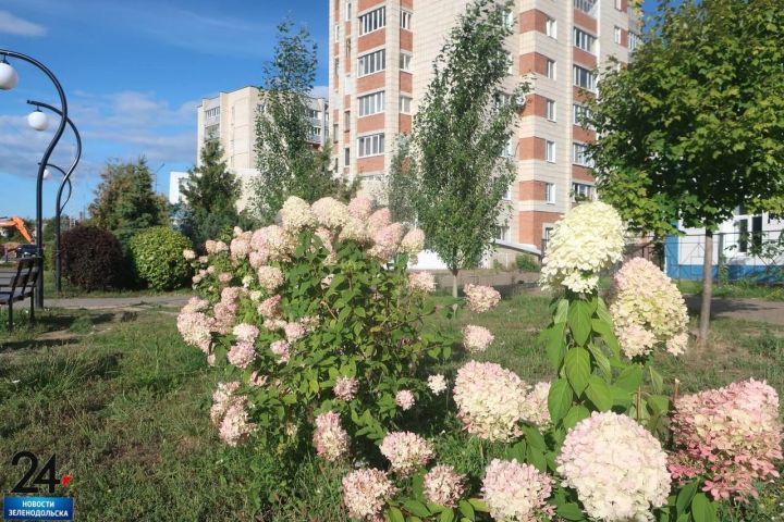 Татарстанцев пригласили к участию в «Больших семейных выходных»