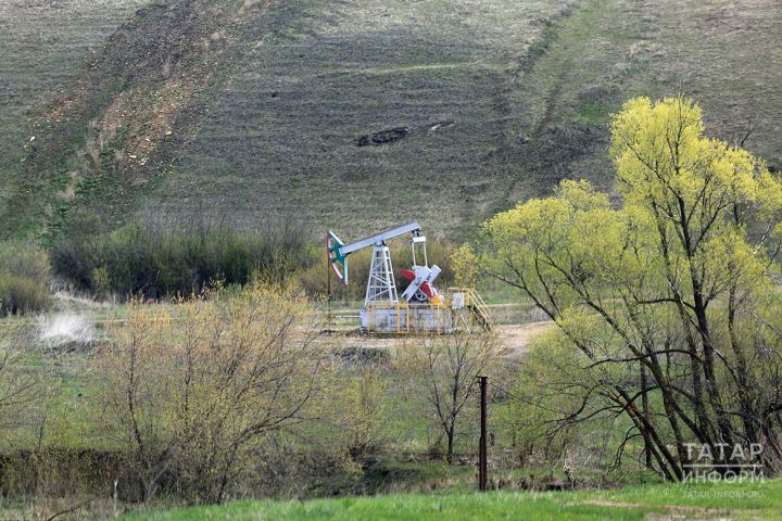 Татарстан еще удивит предпринимателей рейтингом инвестиционного климата