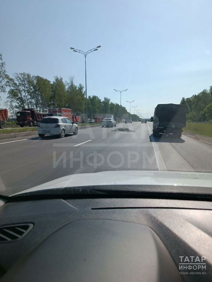 Вблизи Новой Туры под колеса попал лосенок