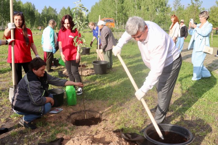 В Зеленодольском парке «Берёзовая роща» теперь будет можно собирать ягоды и фрукты