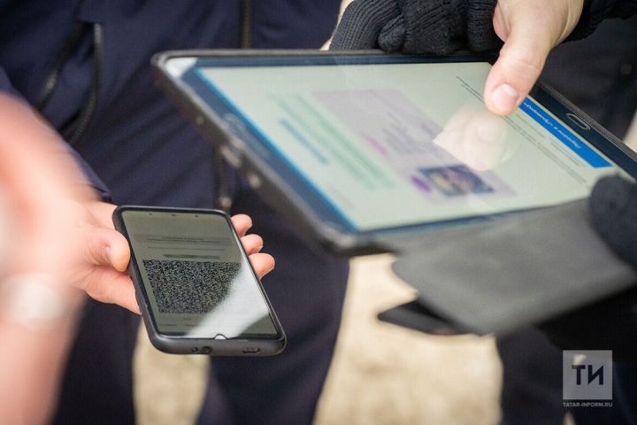 «Поступили новые сведения»: срок действия прав опять хотят изменить – подробности
