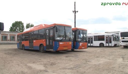 За проезд в транспорте с 13 августа платить не нужно. Пенсионерам сообщили важную новость