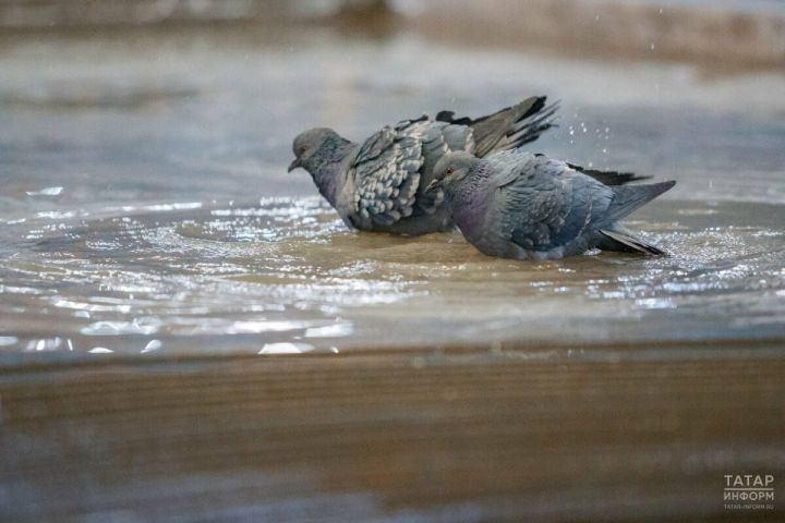 Погода в Татарстане: синоптики прогнозируют улучшения