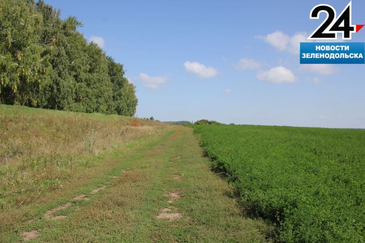 Красота родного края. Фоторепортаж Анаса Зайнуллина